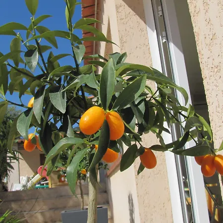 Hotel apartamentowy Saint Michel 3*