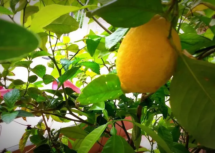 Saint Michel Hotel apartamentowy 3*