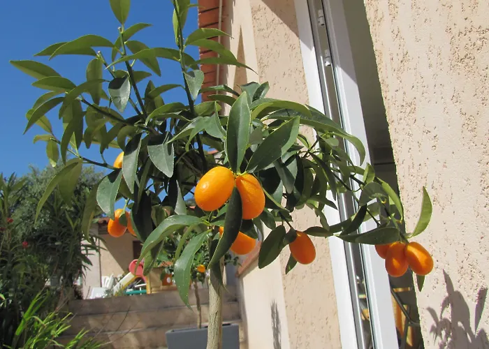 Hotel apartamentowy Saint Michel 3*