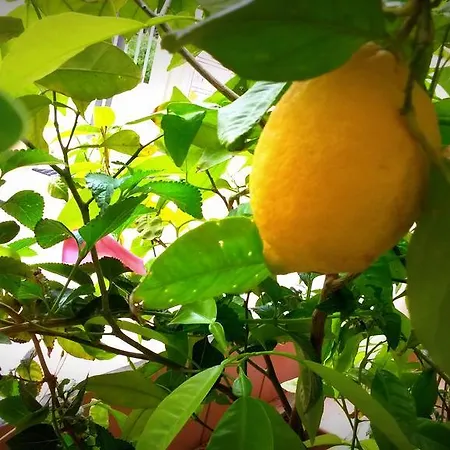 Saint Michel 아파트호텔 3*