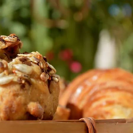 Résidence Saint Michel Apartahotel LʼÎle-Rousse