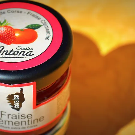 Saint Michel LʼÎle-Rousse